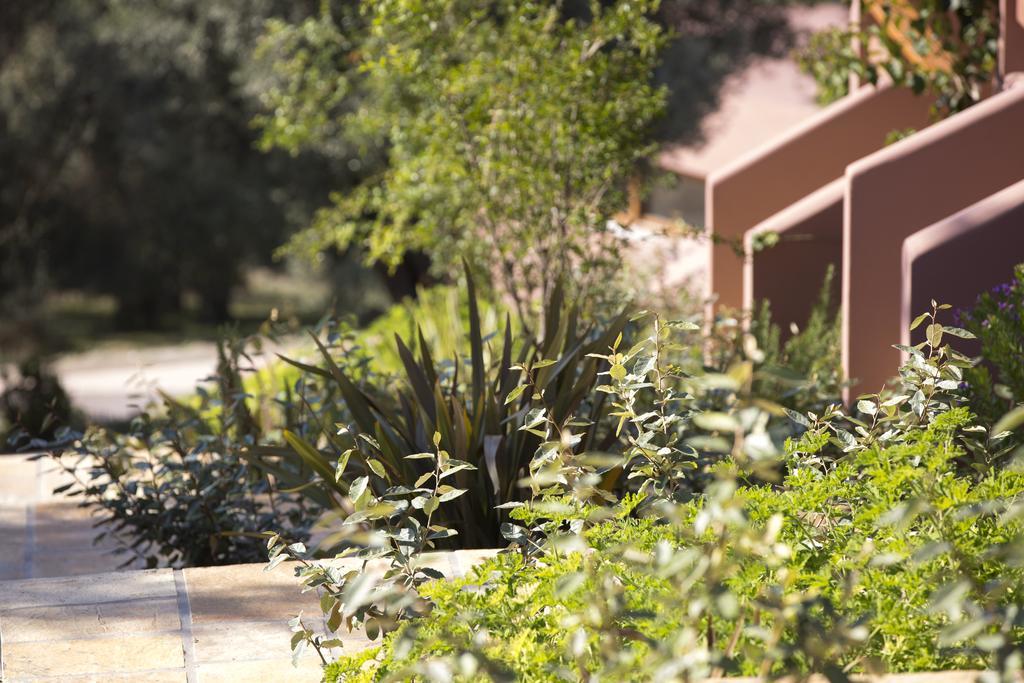 Amandola Villas Agia Anna  Exterior foto